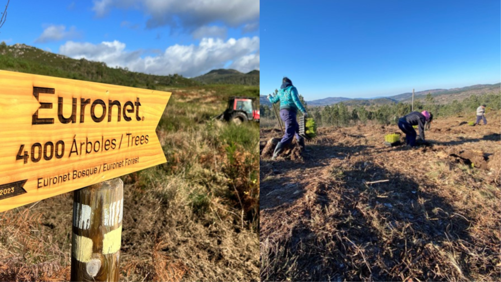 Proyecto Desarrollo Sostenible «Reforestación 2023»